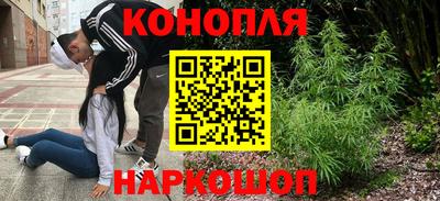 бошки Славгород