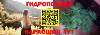 бошки Славгород