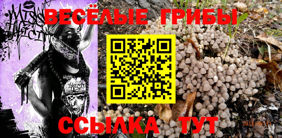 хочу   Вход с VPN  Магнитогорск  Галлюциногенные грибы Cubensis 